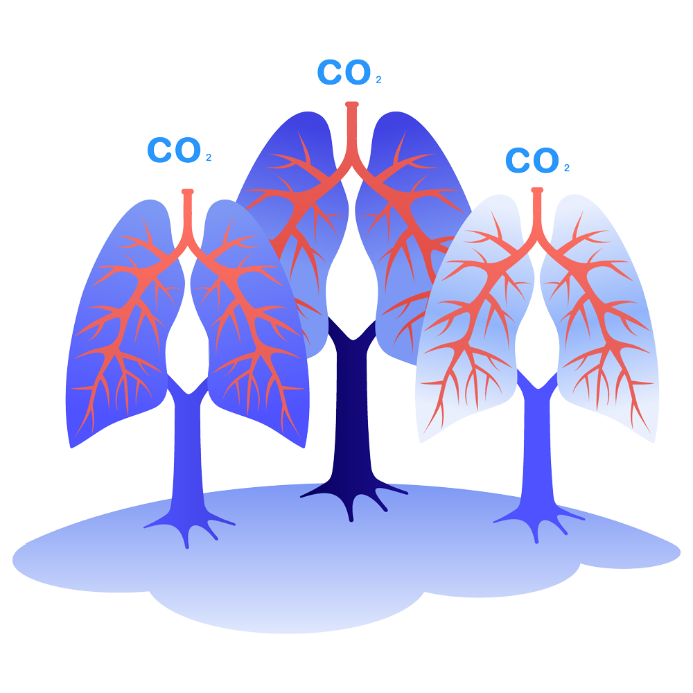 tree-lungs-blue-illustration tree lungs blue illustration